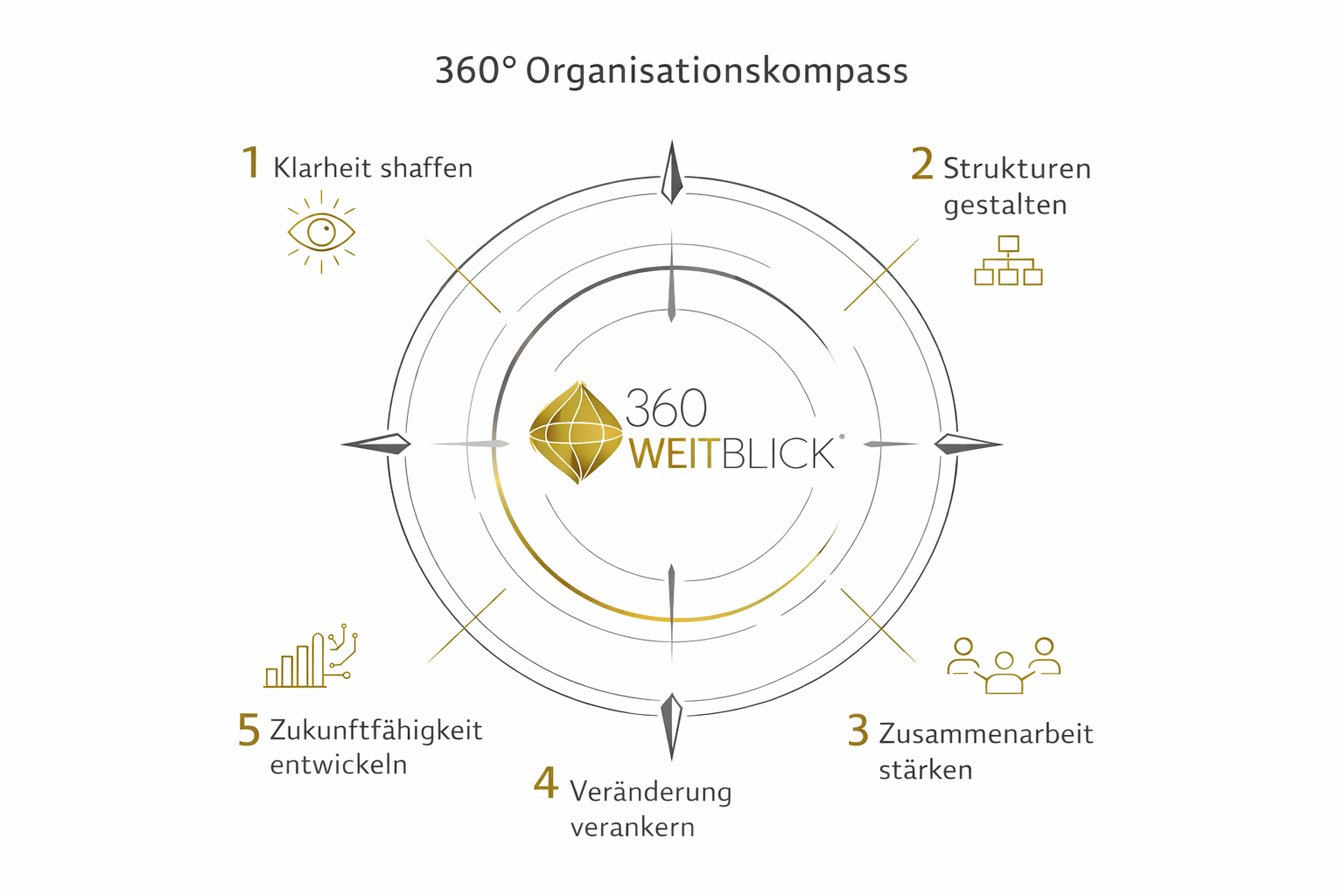 360° Organisationskompass